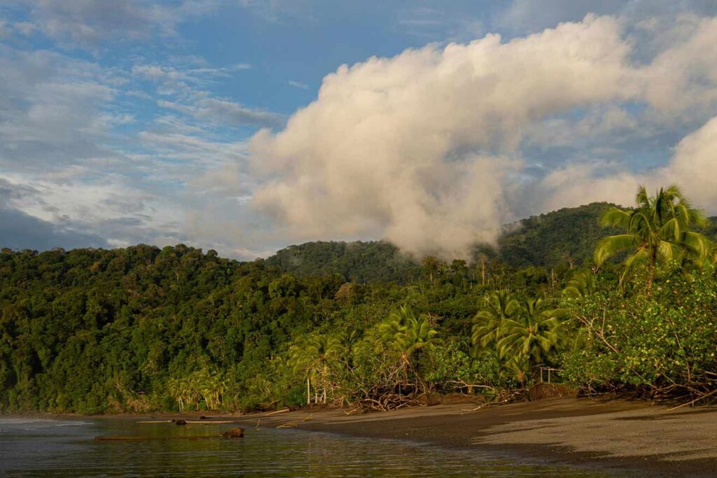 Playa en Bahía Solano, Chocó, donde la selva tropical se encuentra con el océano Pacífico.