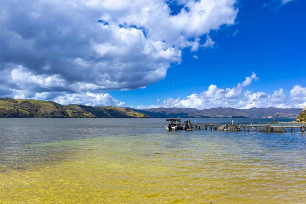 Laguna de Tota con aguas azul turquesa y muelle de madera, en medio del altiplano cundiboyacense.