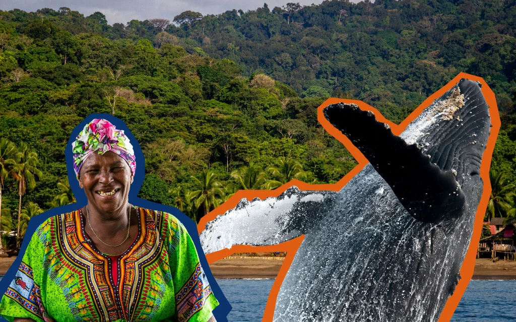 Collage del Pacífico colombiano con selva de Bahía Solano, mujer afrocolombiana con turbante colorido y ballena yubarta saltando en el océano.